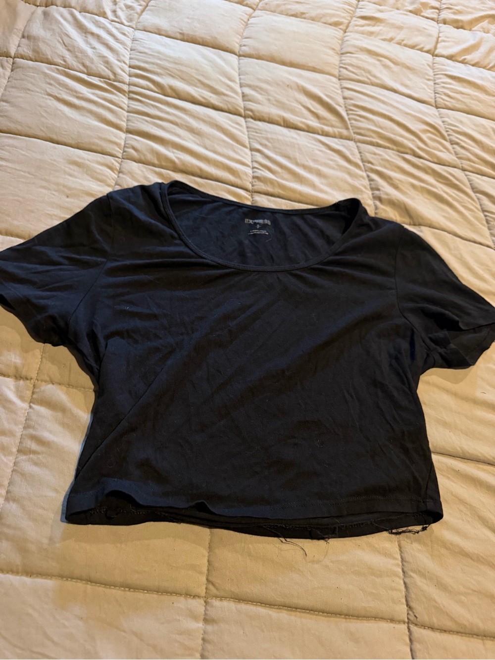 Express Black Scoop-Neck Crop Top